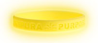 Class 75 Focus Wristband